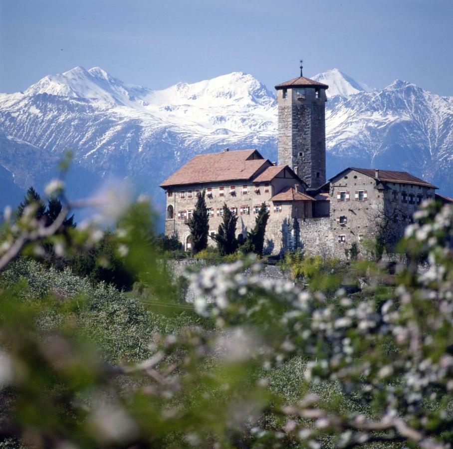Apartament Cinzia Dolomiti Del Brenta Tassullo Zewnętrze zdjęcie